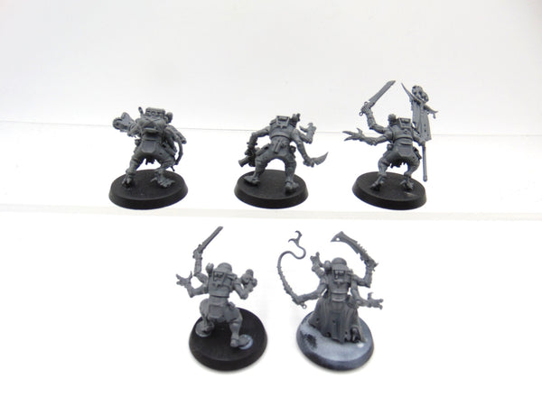 Acolyte Hybrids