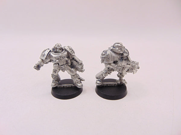 Tyrannic War Veterans