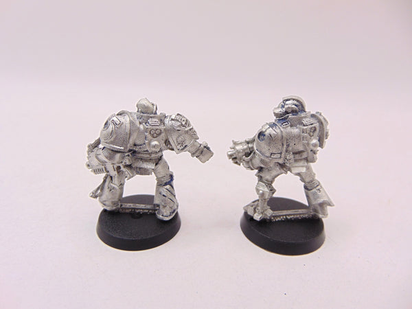 Tyrannic War Veterans