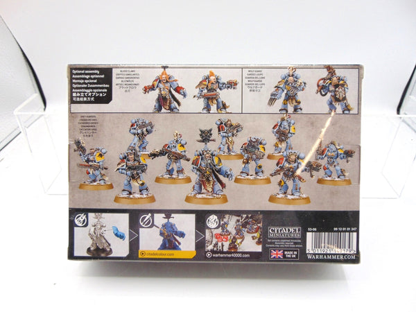 Grey Hunters / Blood Claws / Wolf Guard