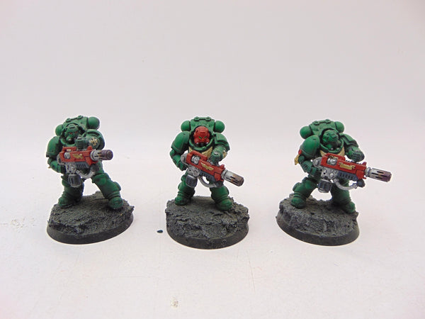 Eradicators