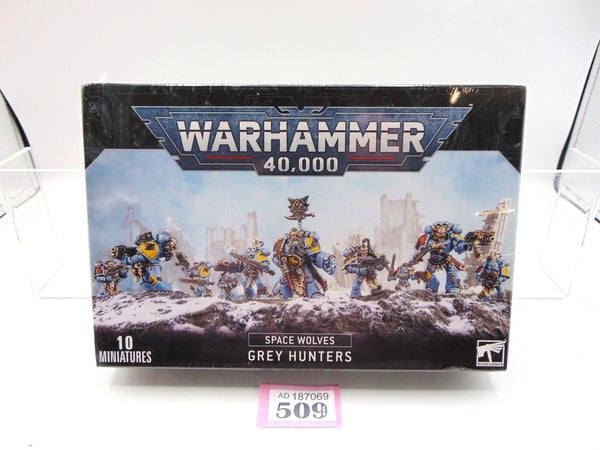 Grey Hunters / Blood Claws / Wolf Guard