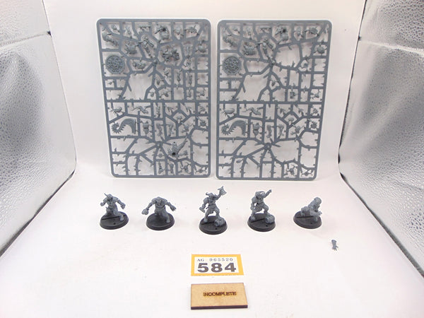 Norse Blood Bowl Team