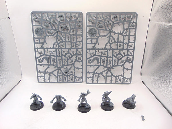 Norse Blood Bowl Team