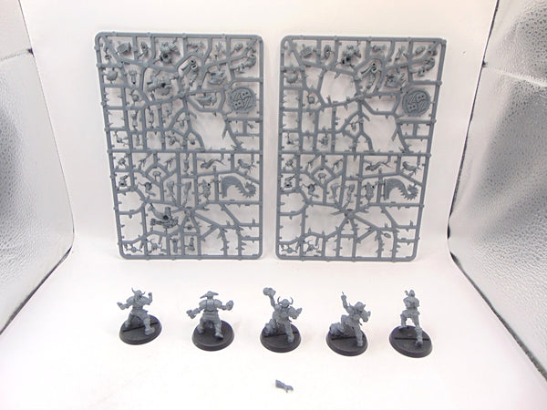 Norse Blood Bowl Team