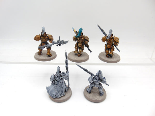 Custodian Guard