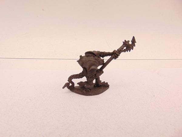Troglodyte