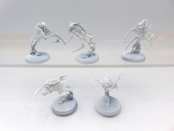 Dreadscythe Harridans