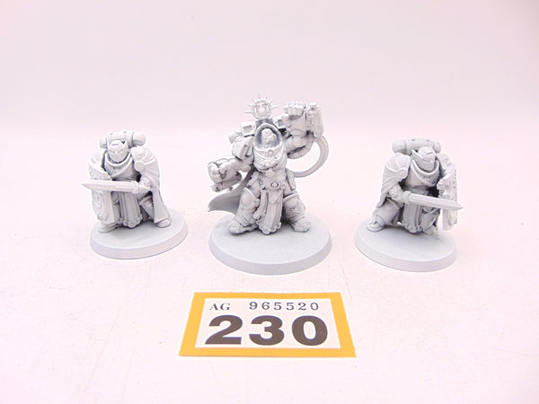 Marneus Calgar with Victrix Honour Guard