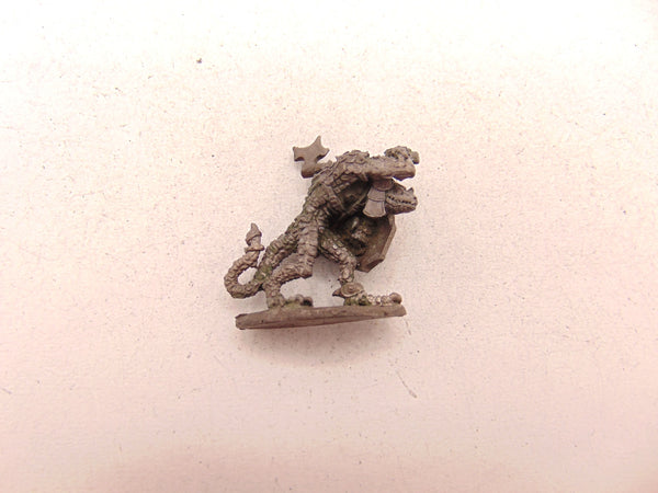 Troglodyte