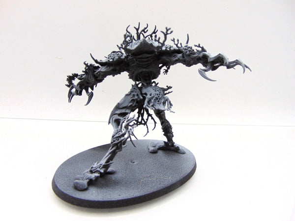 Drycha Hamadreth
