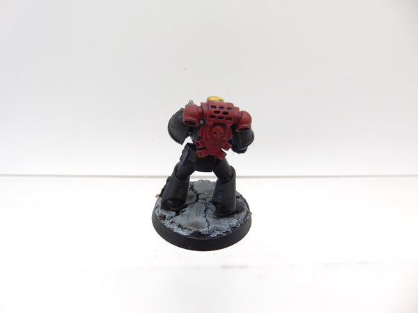 Brother Castor