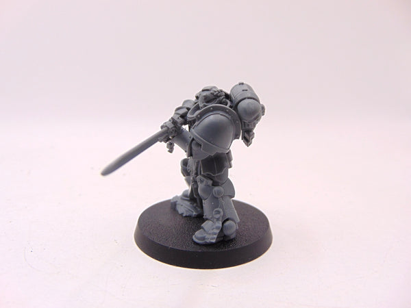 Event Exclusive Primaris Company Champion