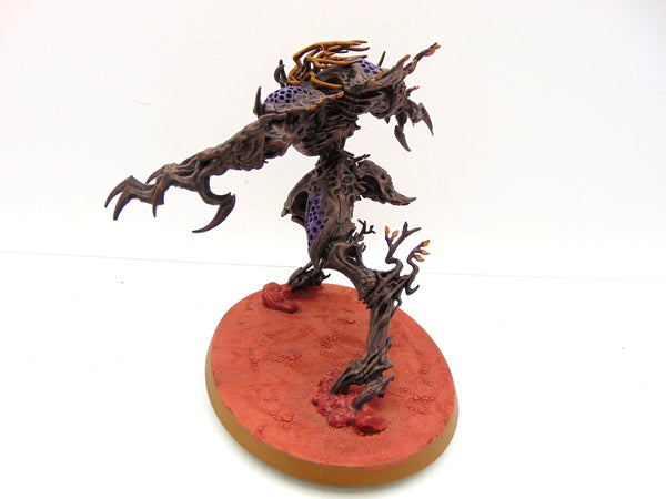 Drycha Hamadreth
