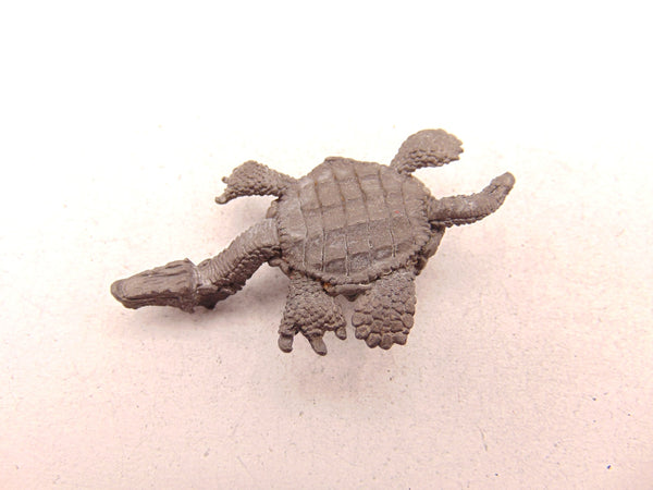 C29 turtle