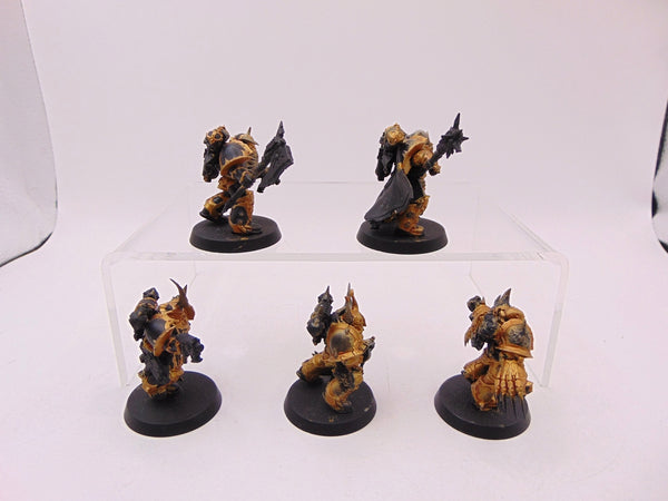 Chaos Chosen