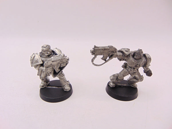 Tyrannic War Veterans