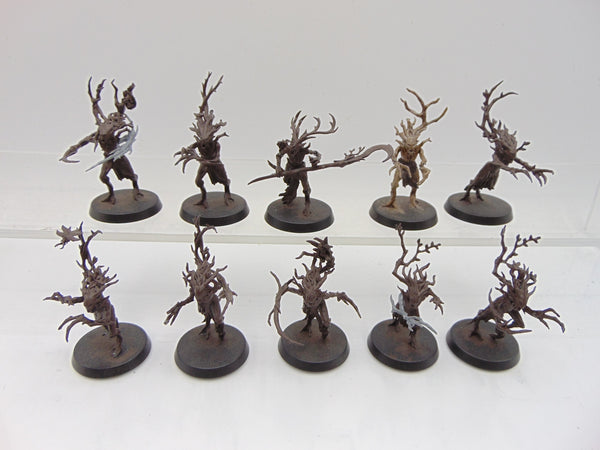 Dryads & Branchwych