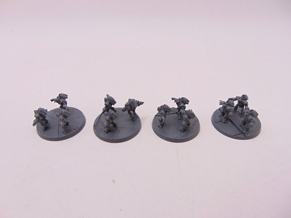 Legions Imperialis: Ursarax Cohort