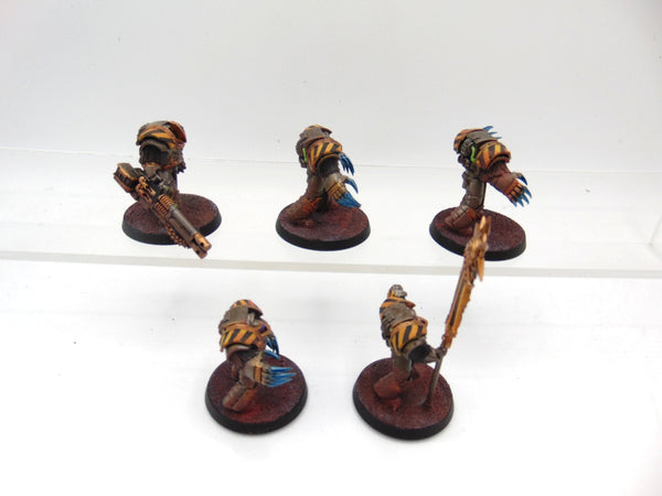 Cataphractii Terminator Squad