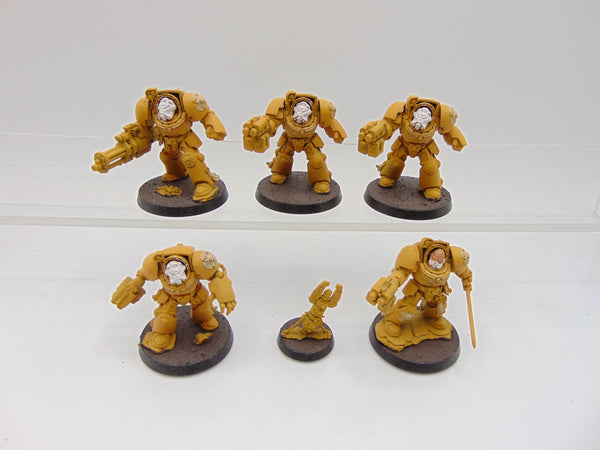 Terminator Squad