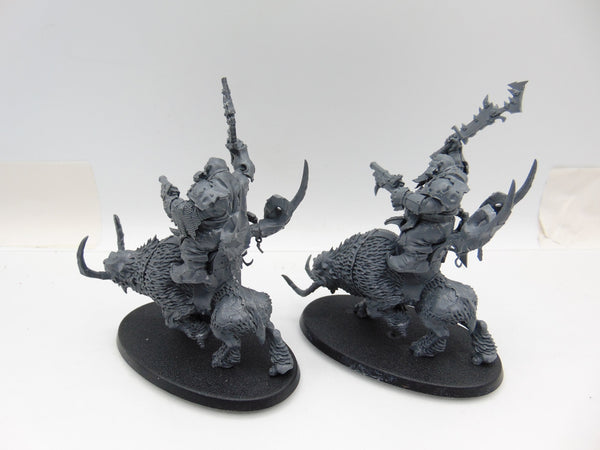 Mournfang Cavalry Pack