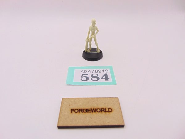 Air Caste Ground Crew