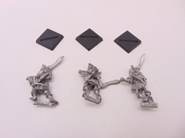 Dark Elf Warriors
