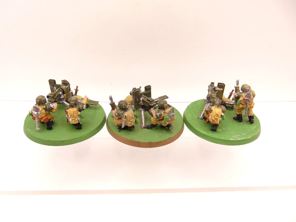 Cadian Heavy Weapon Squad