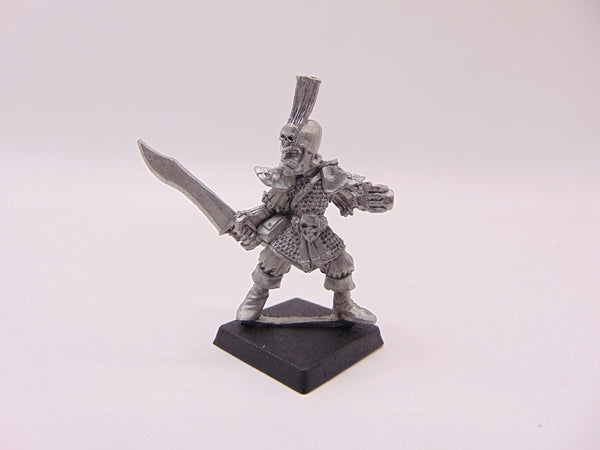 Dark Elf Warrior / Trooper
