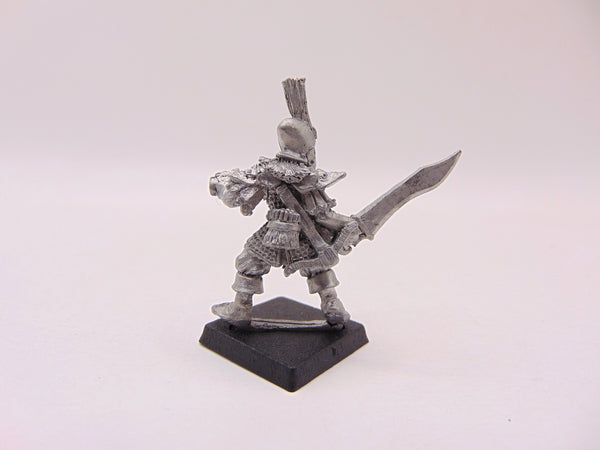 Dark Elf Warrior / Trooper