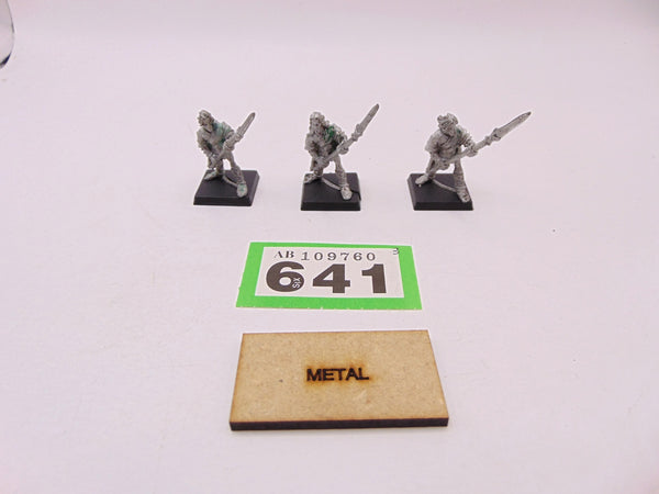 Wood Elf Warriors with Spear / Glade Guard