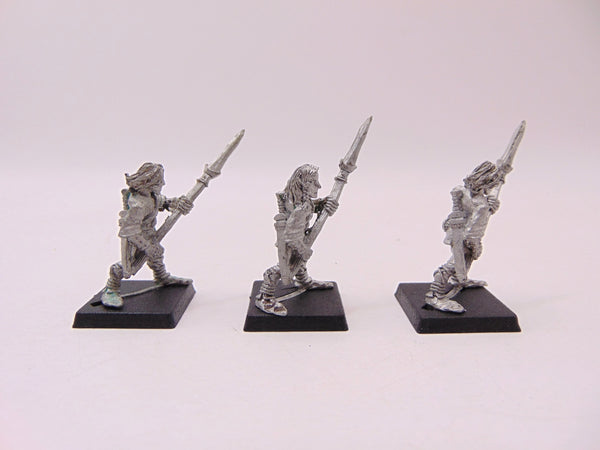 Wood Elf Warriors with Spear / Glade Guard