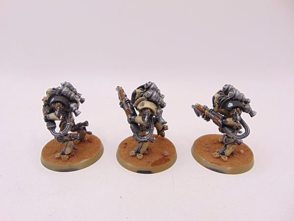 Thallax Cohort