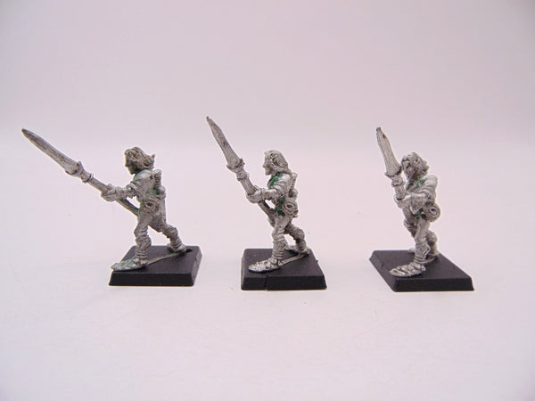 Wood Elf Warriors with Spear / Glade Guard