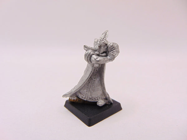 Dark Elf Sorcerer