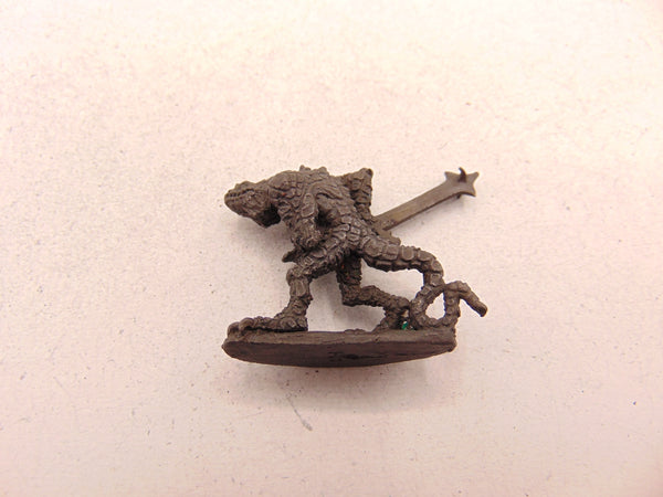 Troglodyte