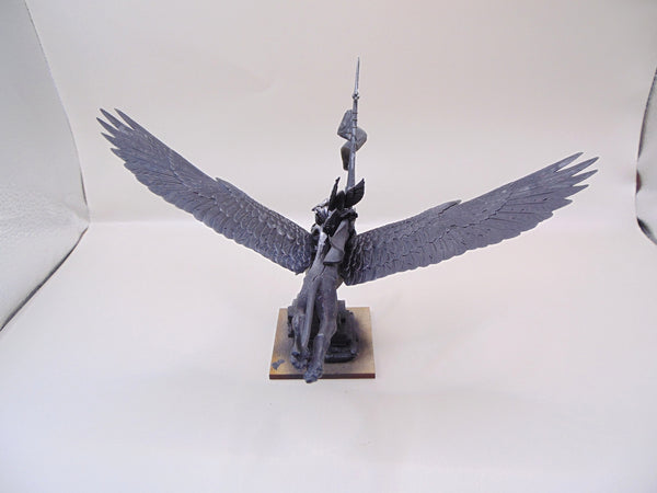 Prince Althran Stormrider on Griffon