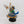 Shriman on Disc of Tzeentch
