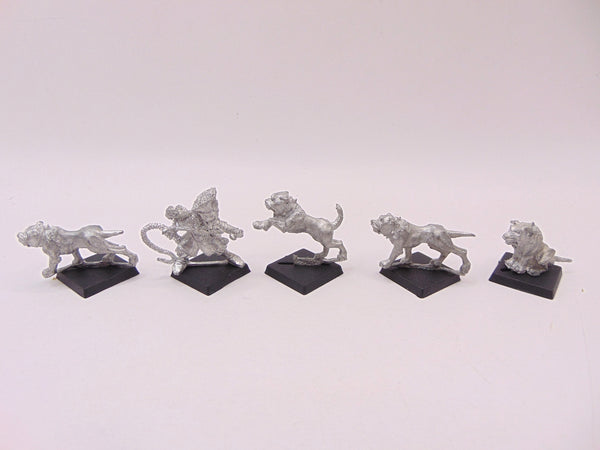 Dark Elf Whelp Master and Hounds
