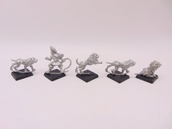 Dark Elf Whelp Master and Hounds