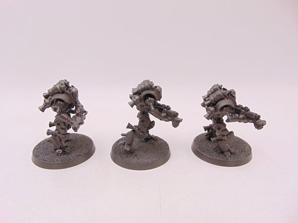 Thallax Cohort