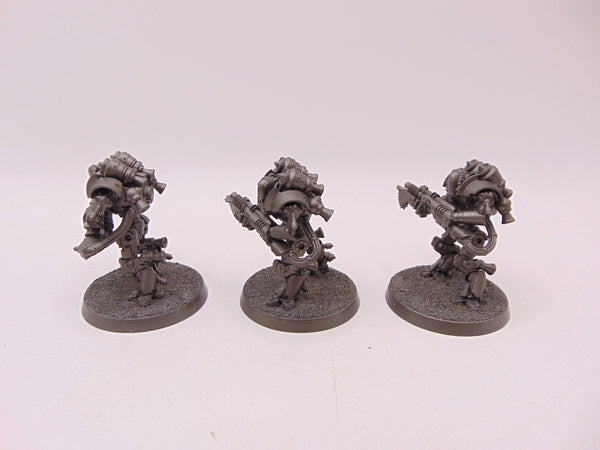 Thallax Cohort