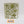 Plague Champion Gangrus