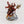 Infernal Master