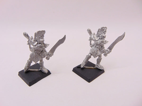Dark Elf Warriors