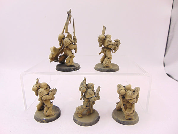 Sternguard Veterans