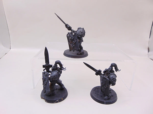 Custodian Guard