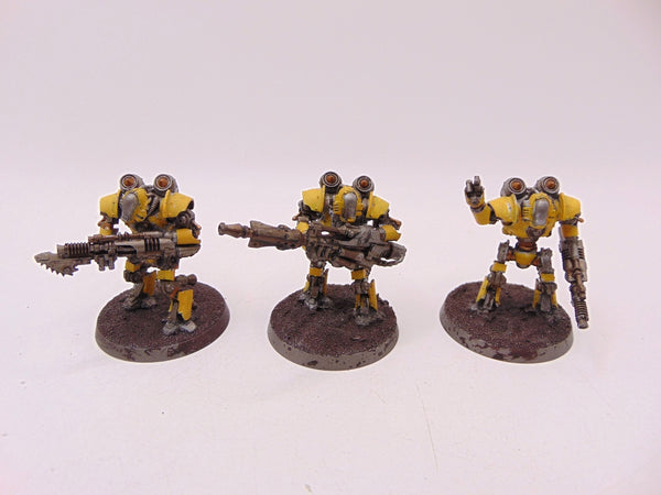 Thallax Cohort