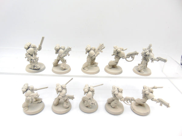 Grey Hunters